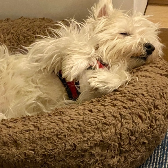 Meet your Posher, Cathy! - Picture 7 of 7